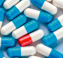 What is a hard gelatin capsule? - C.E.King Limited